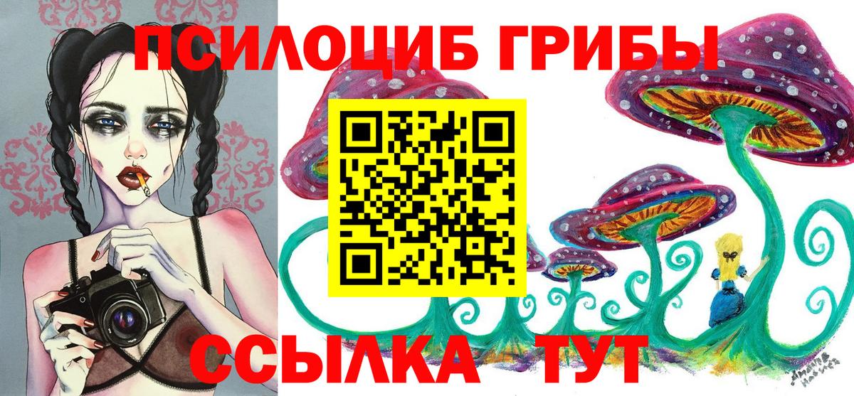Псилоцибиновые грибы мицелий Смоленск